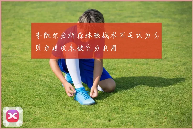 李凯尔分析森林狼战术不足认为戈贝尔进攻未被充分利用