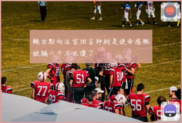 鲍尔默向法官坦言种树是使命感慨被骗六千万太傻了